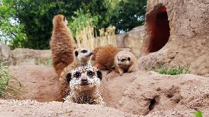 Tierpatentage im Zoo Leipzig